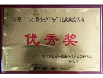 优秀奖